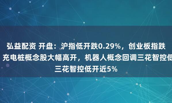 弘益配资 开盘：沪指低开跌0.29%，创业板指跌0.58%，充电桩概念股大幅高开，机器人概念回调三花智控低开近5%